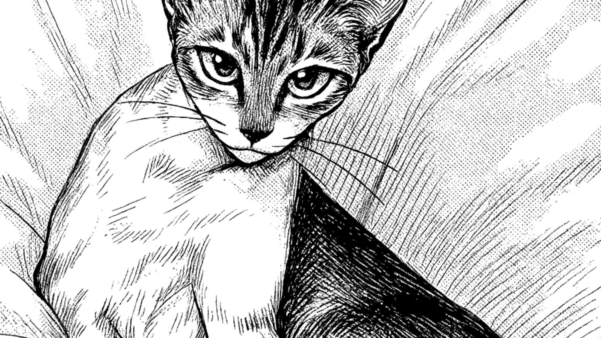 Le Blog de Uni and Ushuaia