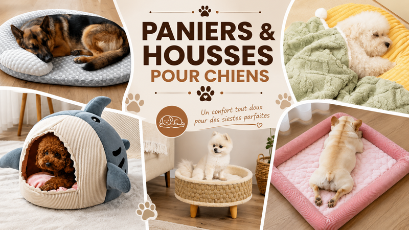 Paniers & Housses pour Chiens