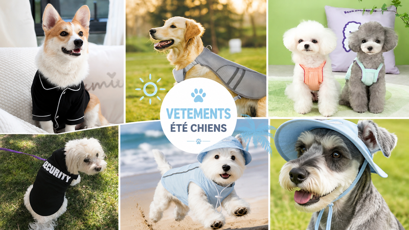 Vêtements d’Été pour Chiens
