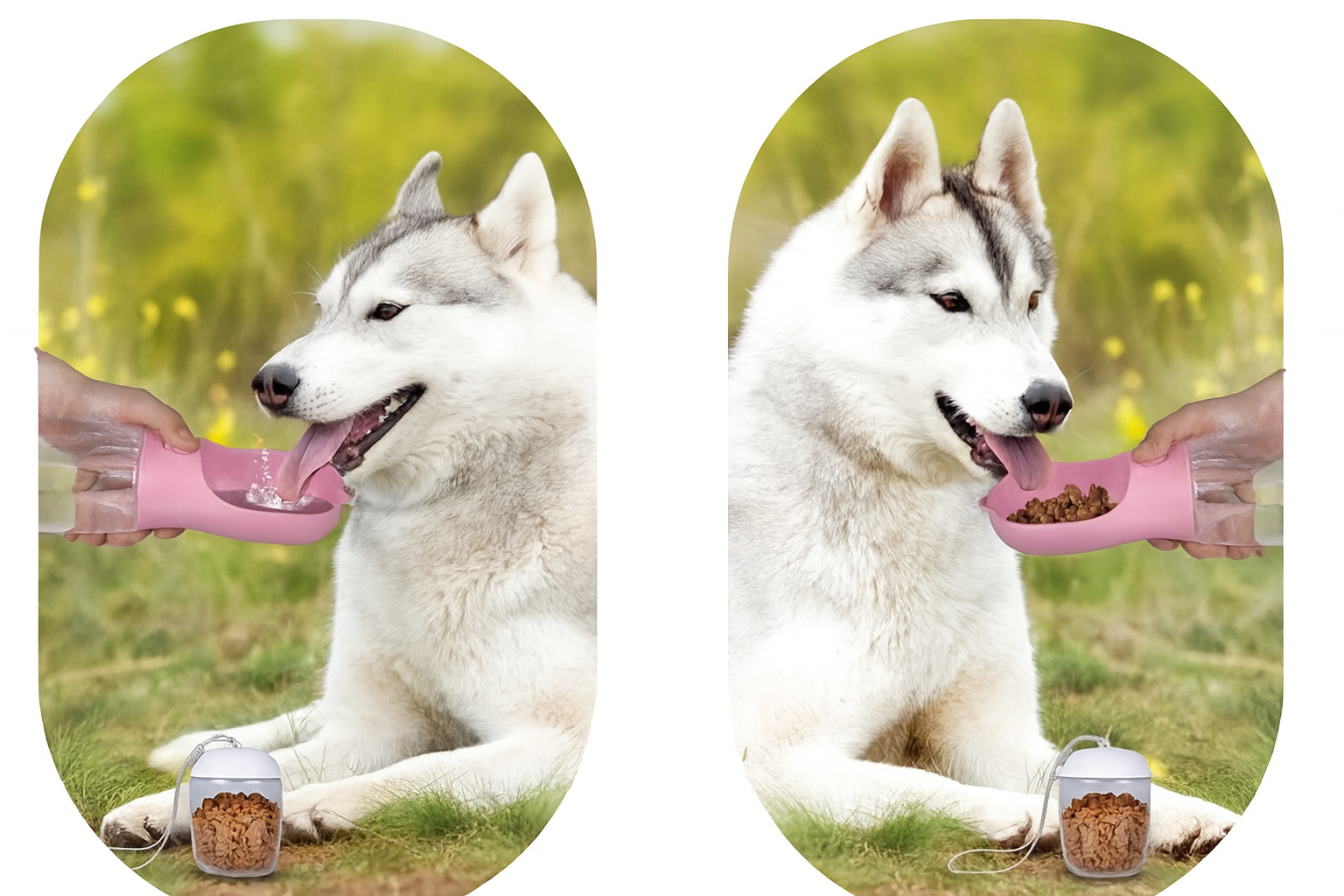 Gourde portable 2-en-1 pour chien et chat