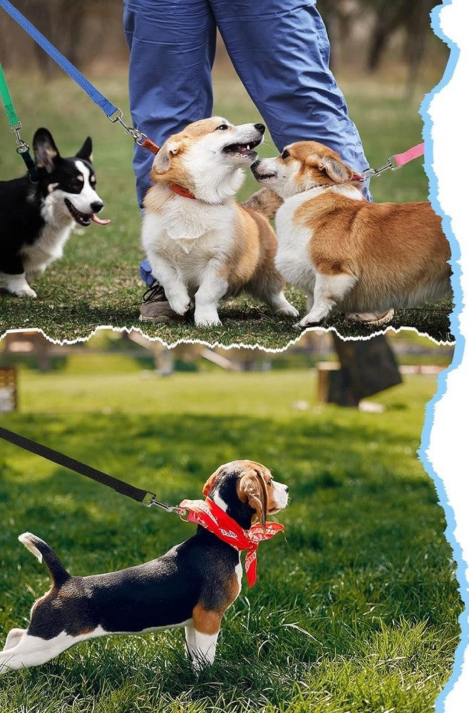 Laisse d’Entraînement en Nylon Durable pour Chien