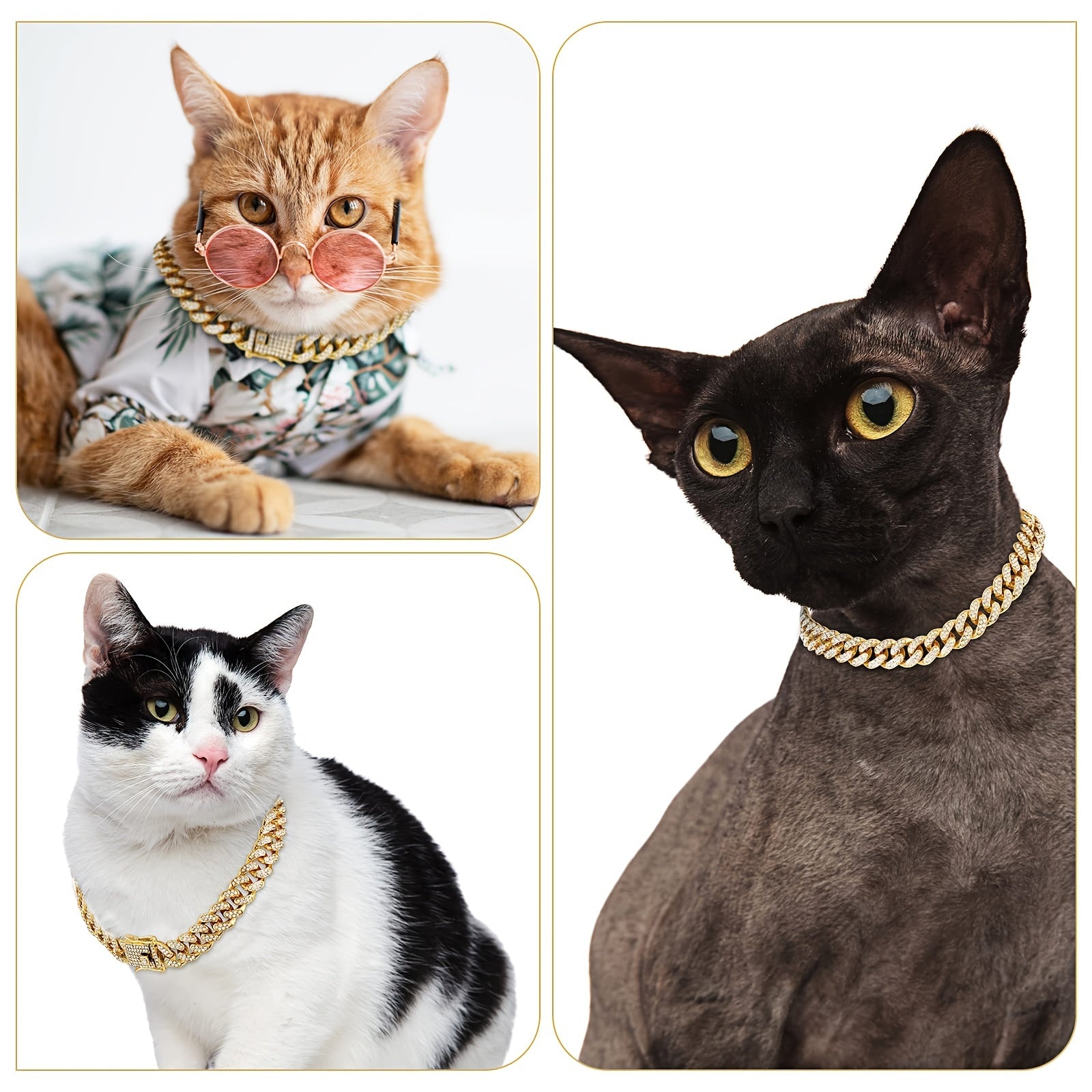 Collier chaîne dorée luxe pour chien ou chat
