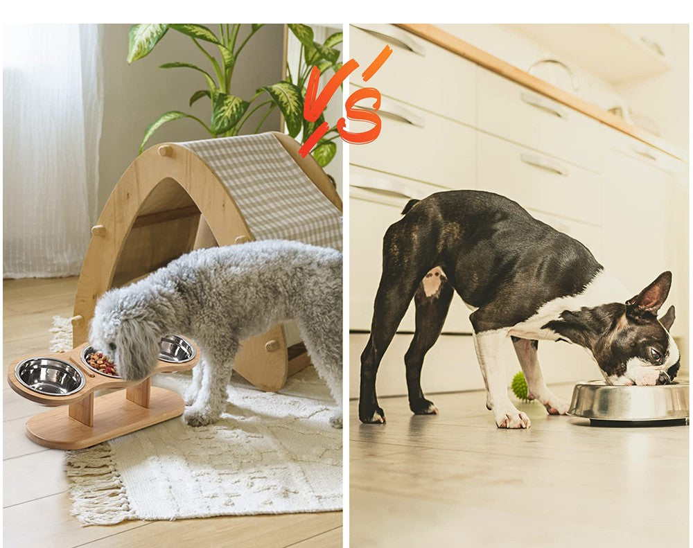 Gamelle surélevée 3 en 1 pour chat et petit chien