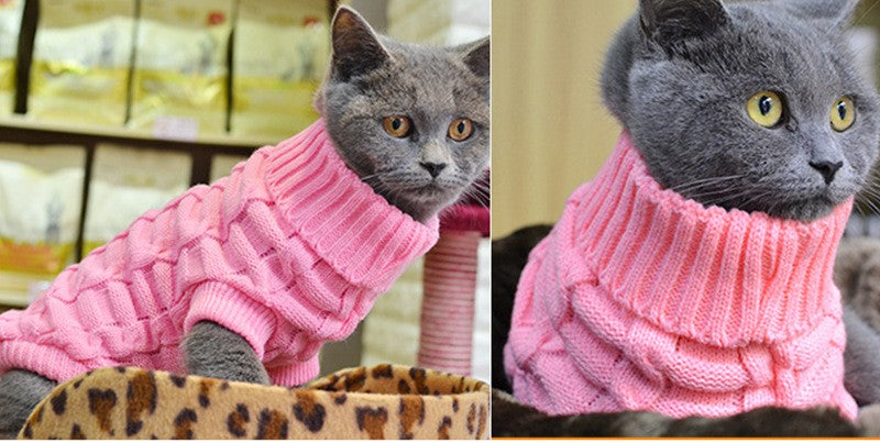 Pull tricoté chaud - chien ou chat