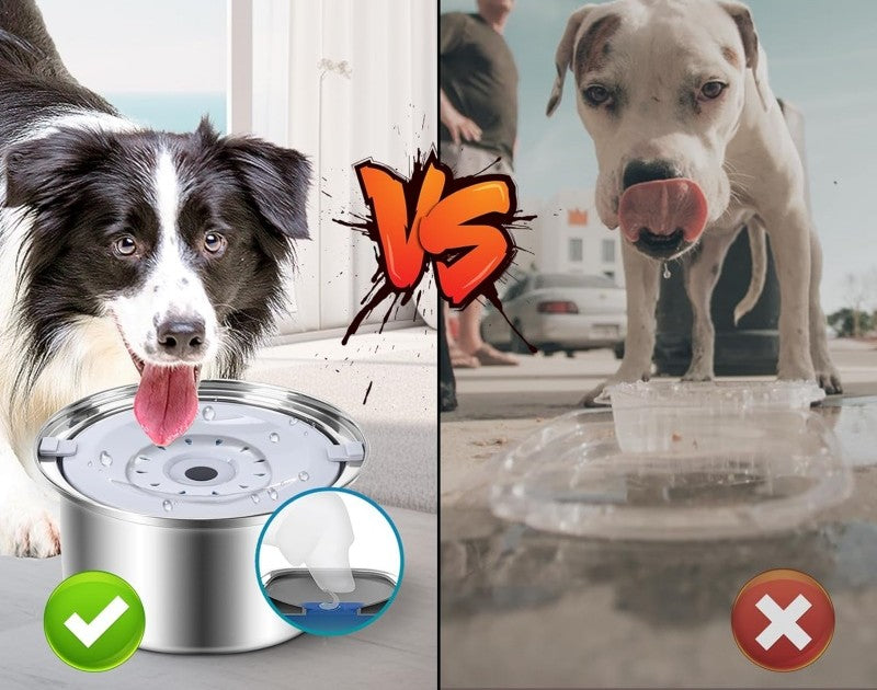 Bol à eau inox anti-déversement avec filtre