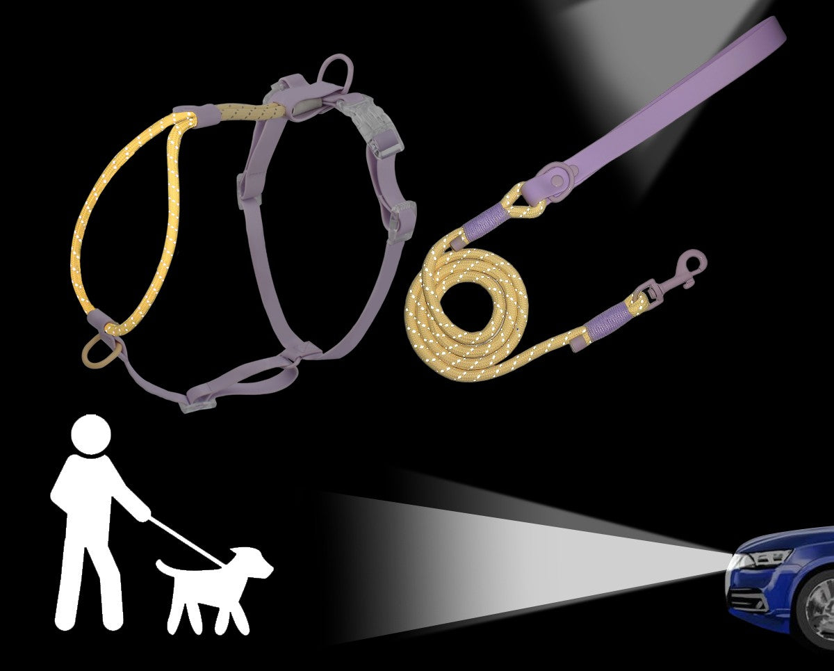 Ensemble Harnais et Laisse Sans Traction PVC pour Chien