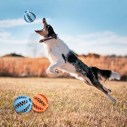 Balle à friandises résistante - chien