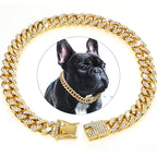 Collier chaîne dorée luxe pour chien ou chat