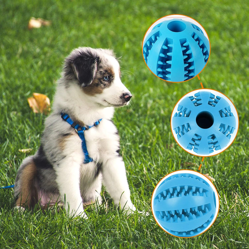Balle à friandises résistante - chien