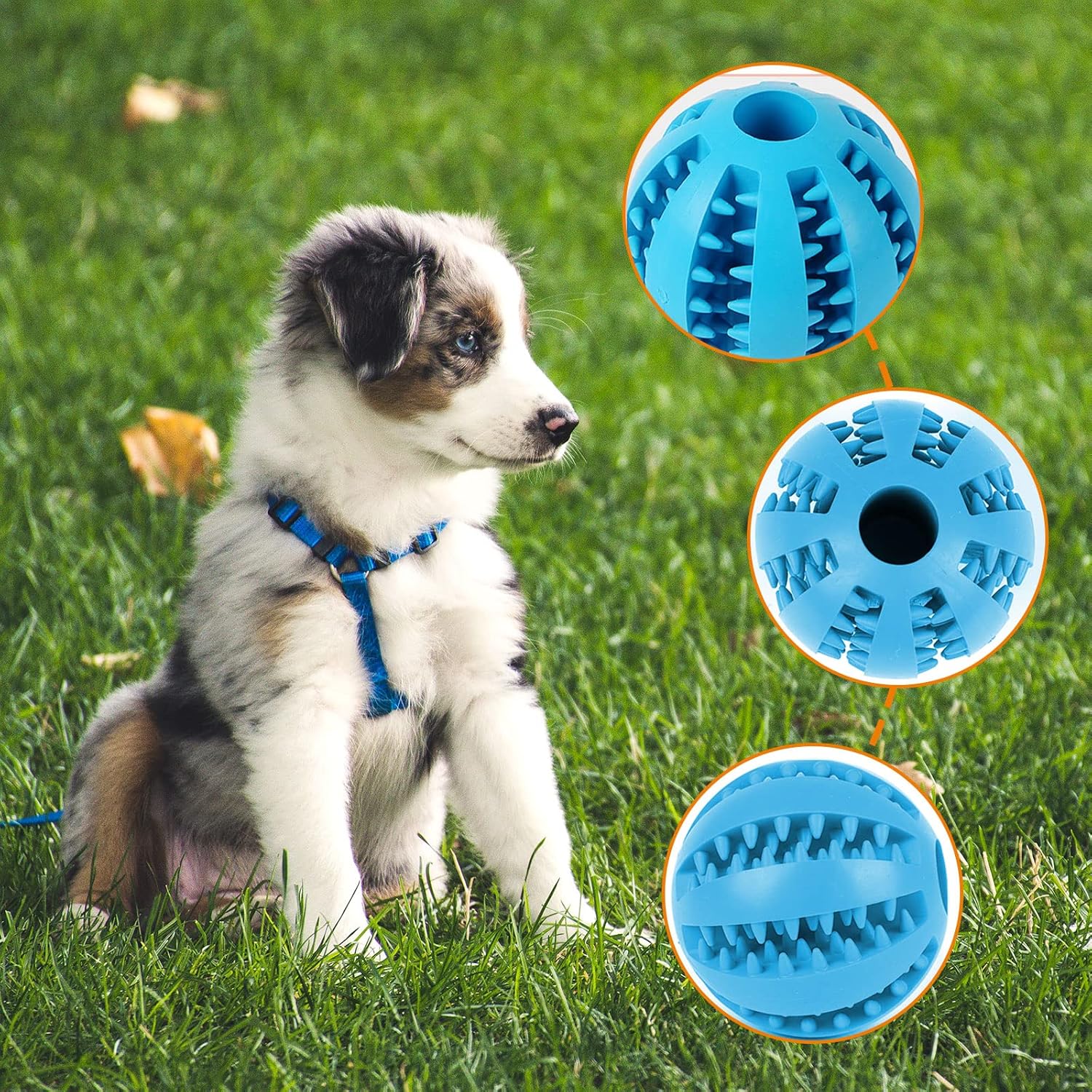 Balle à friandises résistante - chien