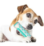 Jouet brosse à dents pour chien à mâcher