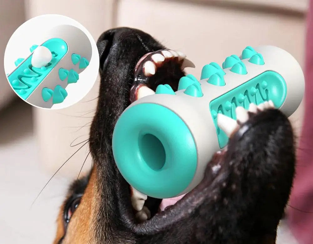 Jouet brosse à dents pour chien à mâcher