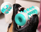 Jouet brosse à dents pour chien à mâcher