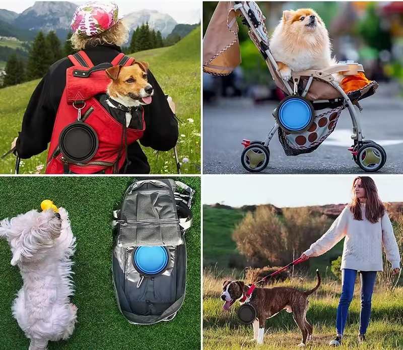 Bol pliable en silicone pour chien et chat