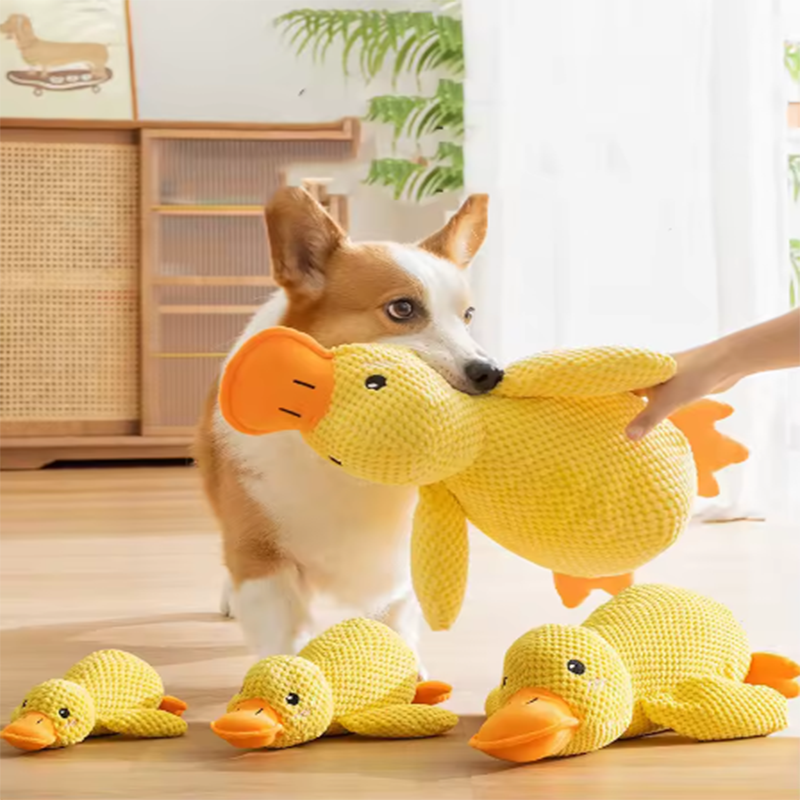 Jouet Canard en Peluche pour Chien