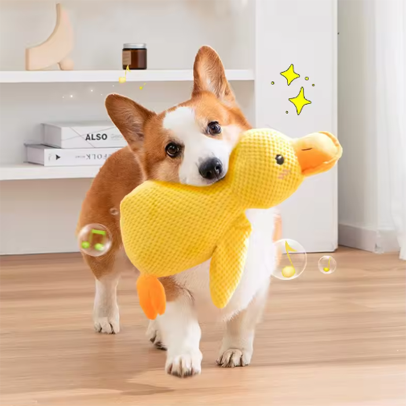 Jouet Canard en Peluche pour Chien