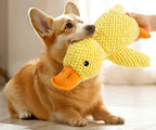Jouet Canard en Peluche pour Chien