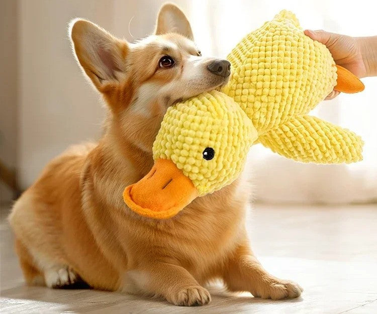 Jouet Canard en Peluche pour Chien
