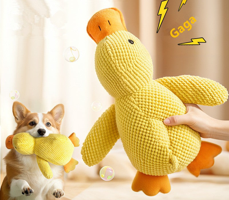 Jouet Canard en Peluche pour Chien