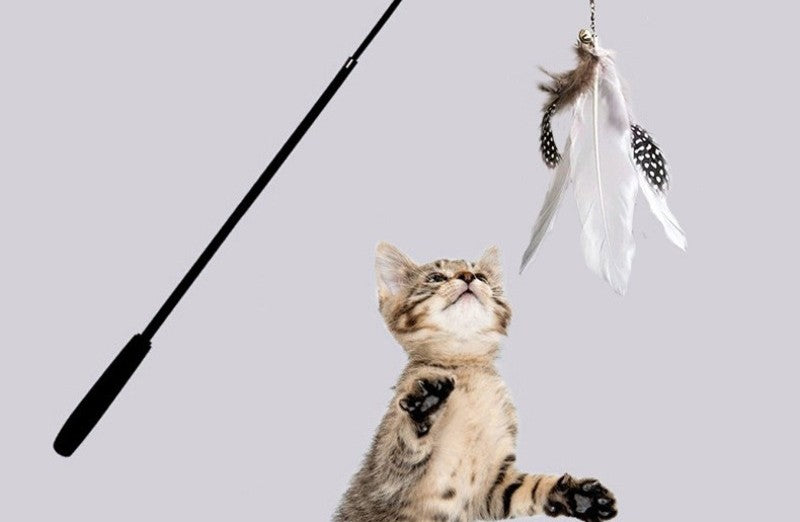 Canne à pêche télescopique avec plume - chat