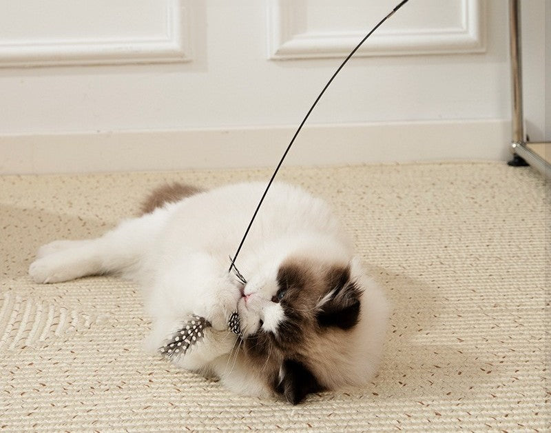 Canne à pêche télescopique avec plume pour chat