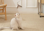 Canne à pêche télescopique avec plume - chat