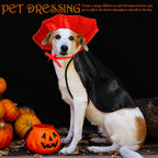 Cape vampire Halloween - chien ou chat