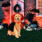 Cape vampire Halloween - chien ou chat