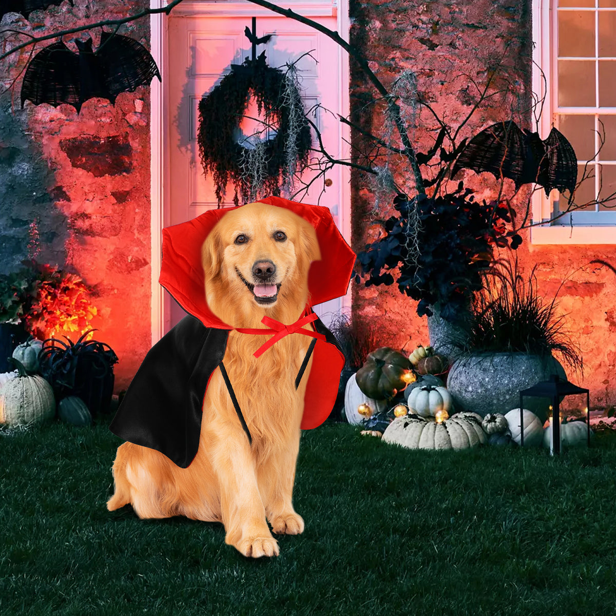Cape vampire Halloween - chien ou chat