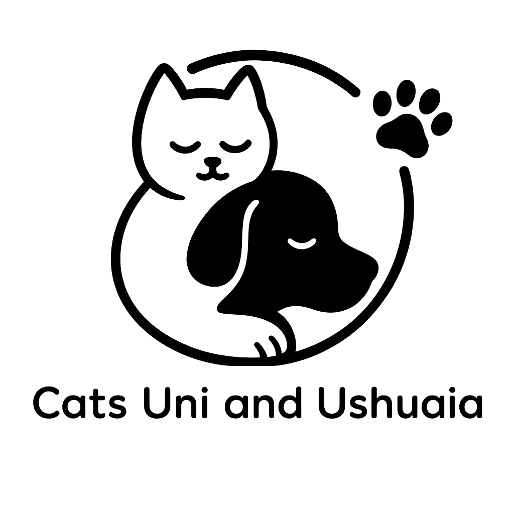 CATS UNI AND USHUAIA 