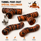 Tunnel Halloween pliable - chat