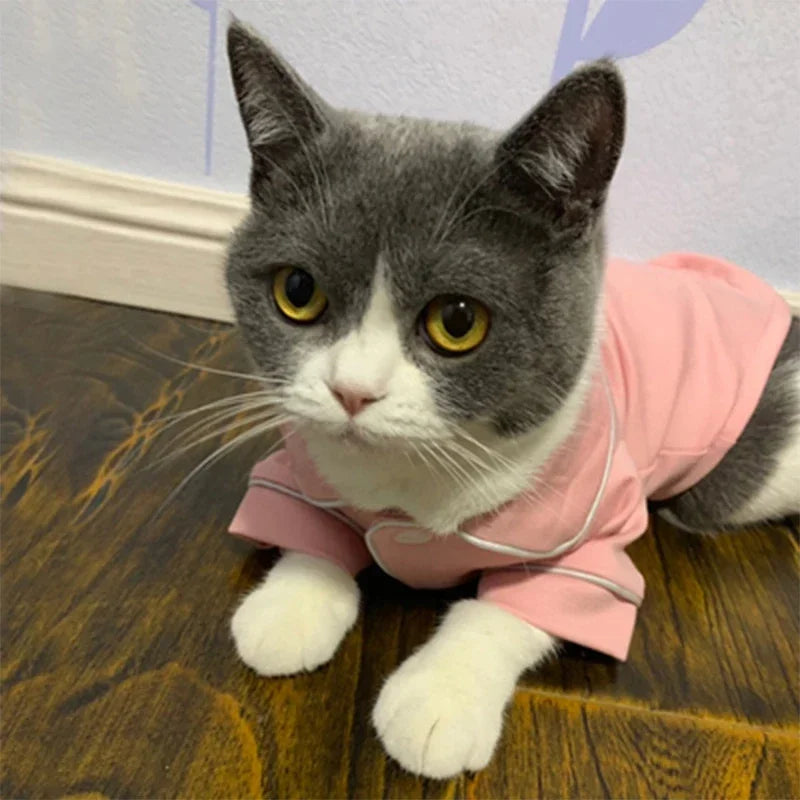Pyjama d’été élégant pour chien et chat