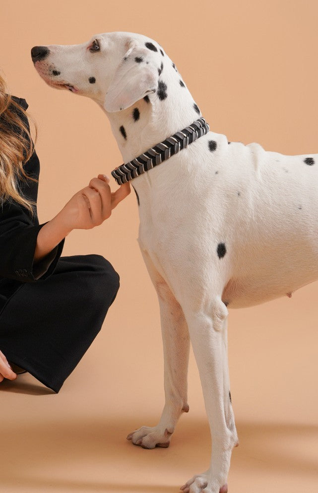 Collier chien fait main coloré réglable