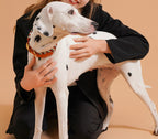 Collier chien fait main coloré réglable