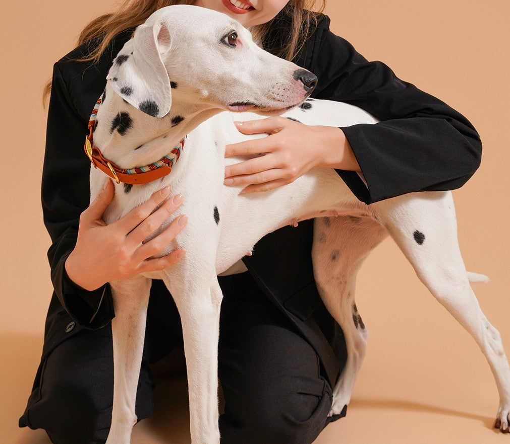 Collier chien fait main coloré réglable