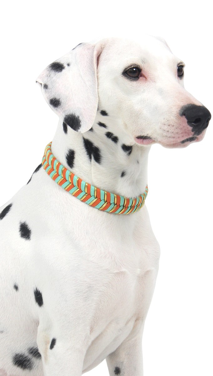 Collier chien fait main coloré réglable