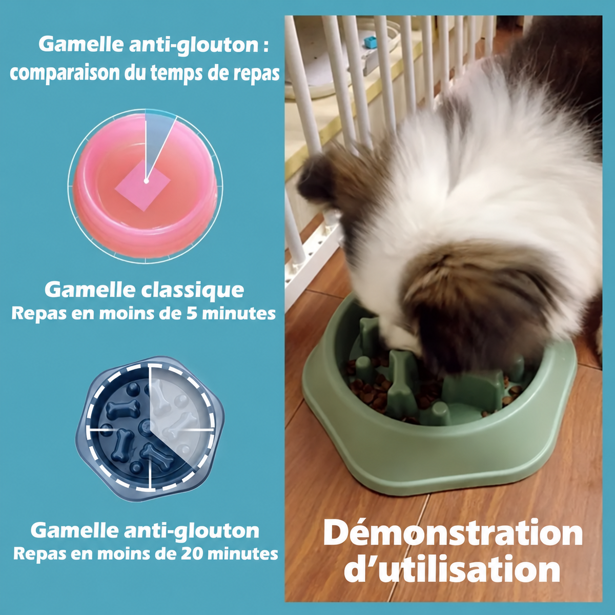 Gamelle anti-glouton antidérapante - chien ou chat