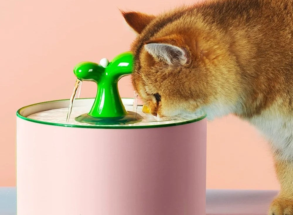 Fontaine à eau automatique en céramique pour chat et petit chien