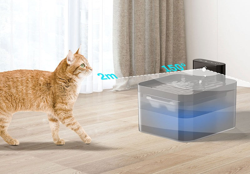 Fontaine à eau intelligente sans fil - chat et chien