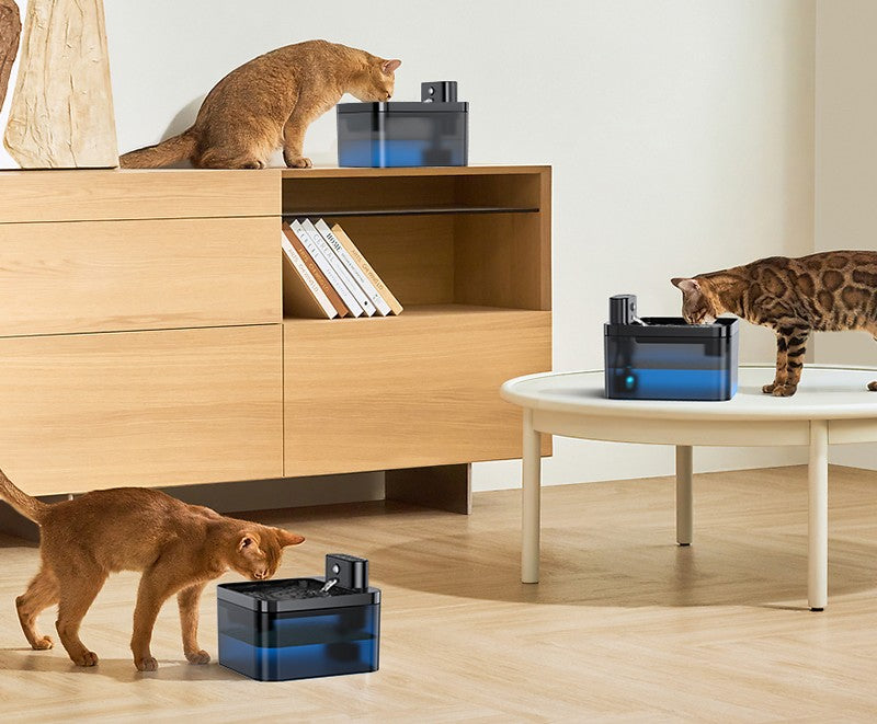Fontaine à eau intelligente sans fil pour chat et chien