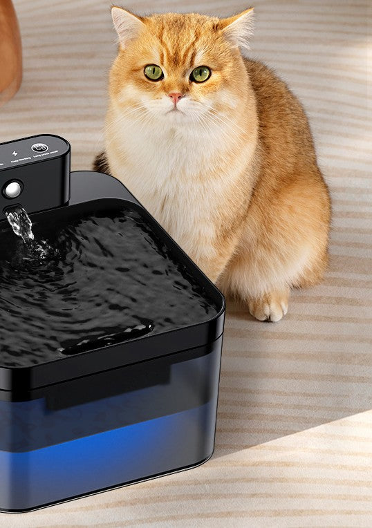 Fontaine à eau intelligente sans fil pour chat et chien