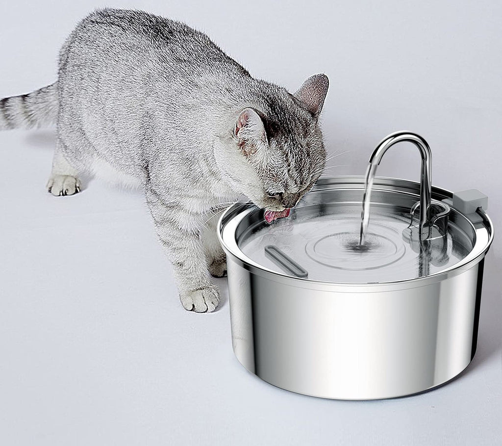 Fontaine à eau en acier inoxydable pour chat et chien