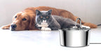 Fontaine à eau en acier inoxydable pour chat et chien