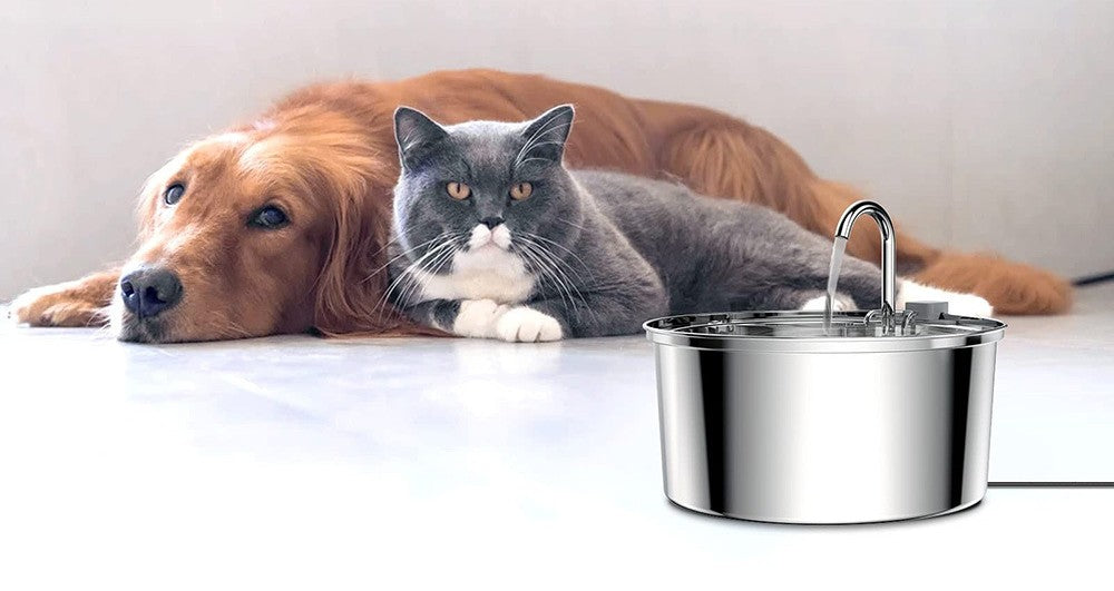 Fontaine à eau en acier inoxydable pour chat et chien