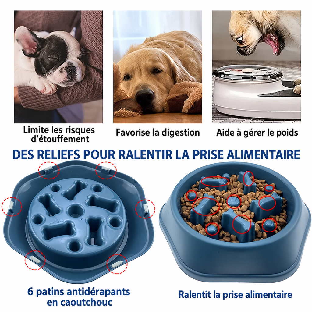 Gamelle anti-glouton antidérapante - chien ou chat