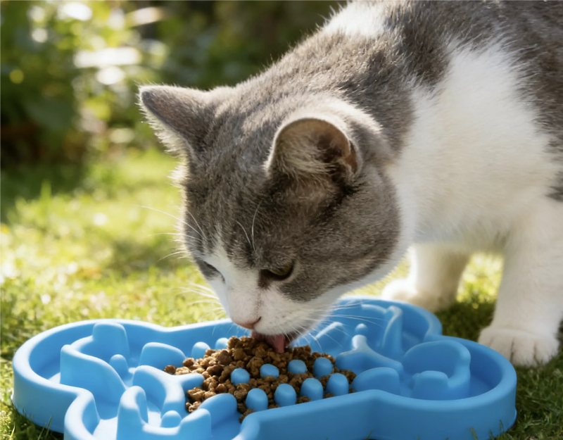 Gamelle lente en silicone en forme d’os pour chien et chat