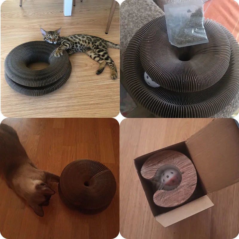 Griffoir rond pliable pour chat avec balle