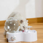 Fontaine à eau en forme de globe pour chat et petit chien