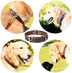 Collier cuir véritable - chien