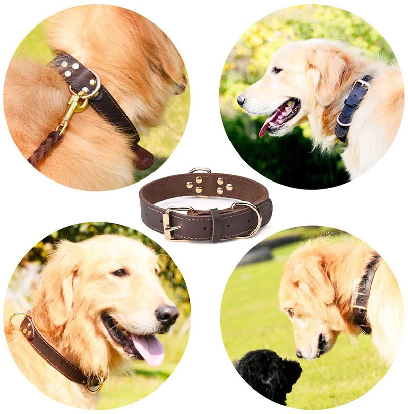 Collier cuir véritable - chien